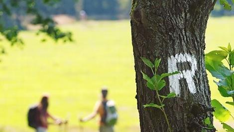 Mit dem Trekkingplatz f&uuml;r Wanderer auf dem Rennsteig erh&auml;lt die Wanderregion Frankenwald ein Vorzeigeobjekt. Symbolfoto: Archiv