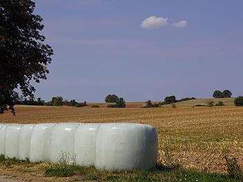 Die Ernte, die viel früher abgeschlossen ist, als in anderen Jahren, war natürlich ein Thema bei der Tagung der Ortsbäuerinnen in Kraisdorf.Sabine Weinbeer