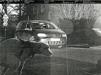 &Uuml;ber dieses Blitzer-Foto am&uuml;siert sich die Polizei: Ein Hund wird in Moers dabei erwischt, wie er gerade sein Gesch&auml;ft verrichtet - in einer Tempo-30-Zone.  Foto: Polizei Wesel/dpa
