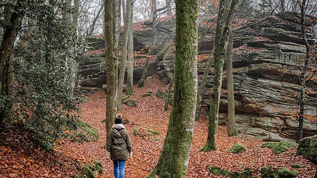 Wandern im Wald ist eine Wohltat für die Seele.