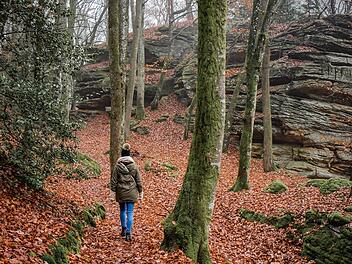 Wandern im Wald ist eine Wohltat für die Seele.