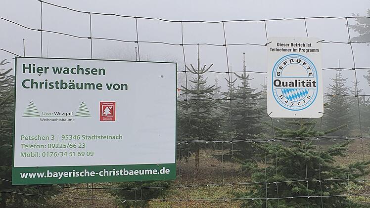 30 Hektar Christbaumkulturen bewirtschaftet Uwe Witzgall rund um Vorderreuth. Foto: Christine Fischer