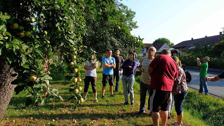 Die Obstbäume hängen in diesem Jahr übervoll.  Foto: Gerd Schaar