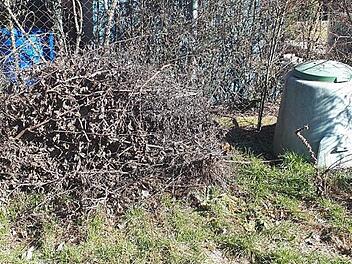 Nicht jeder hat in seinem Garten genügend Platz für sein Schnittgut. Das sollte man nach wie vor kostenlos abgeben können, fordert SPD-Kreisrat Konrad Eitel. Er hat nun einen Brief an Landrat Alexander Tritthart geschrieben.