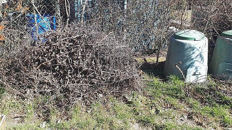 Nicht jeder hat in seinem Garten genügend Platz für sein Schnittgut. Das sollte man nach wie vor kostenlos abgeben können, fordert SPD-Kreisrat Konrad Eitel. Er hat nun einen Brief an Landrat Alexander Tritthart geschrieben.