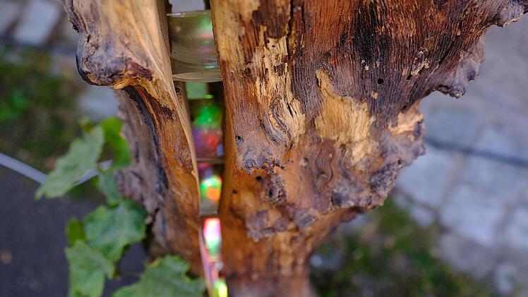 Seine Baumkreationen lässt der Holzbildhauer und Zimmerer Sebastian Bach sogar per eingearbeiteter LED leuchten.