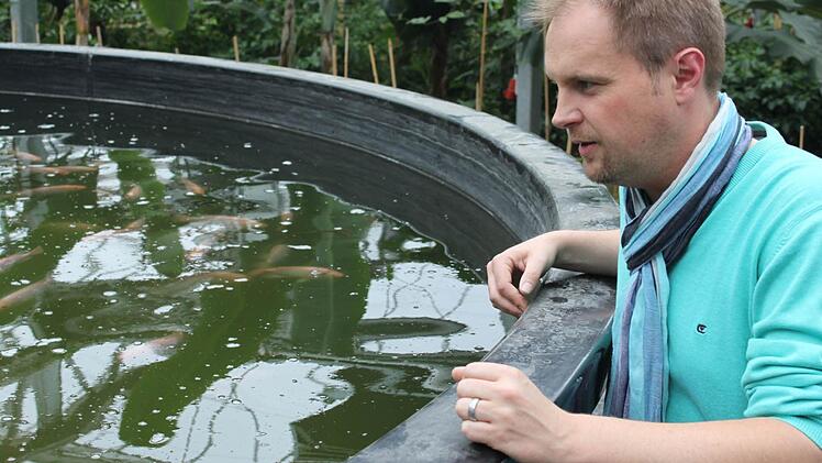 Ralf Schmitt wirft einen Blick in das Tilapia-Mastbecken.  Foto: Veronika Schadeck