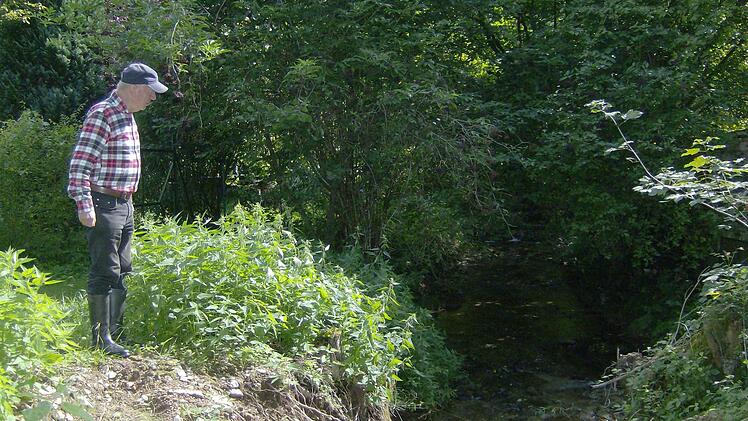 Georg Trautner blickt auf den Tümpel, den er mit eigenen Geld hat fluten lassen. Er hofft nun, dass sich dort viele Tiere ansiedeln werden.  Fotos: Malbrich