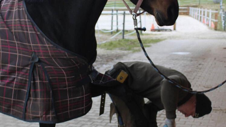 Stephan Hellgrewe feilt die Hufe während ihm Windspiel Girl ihm diese elegant reicht.   Foto: Carmen Schwind