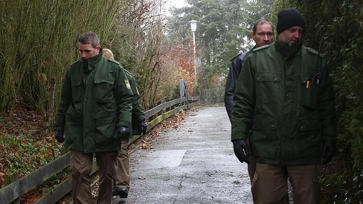 Foto: News5 / Herse