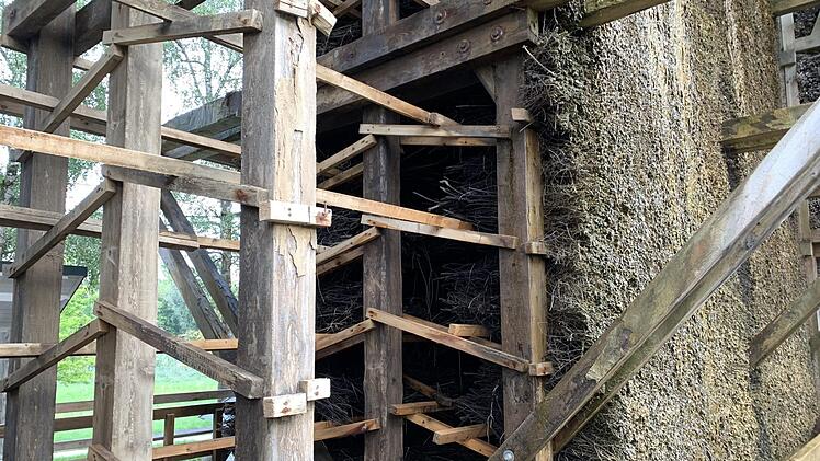Aktuell sind für die Prüfung Felder leer geräumt. Annett Lüdeke