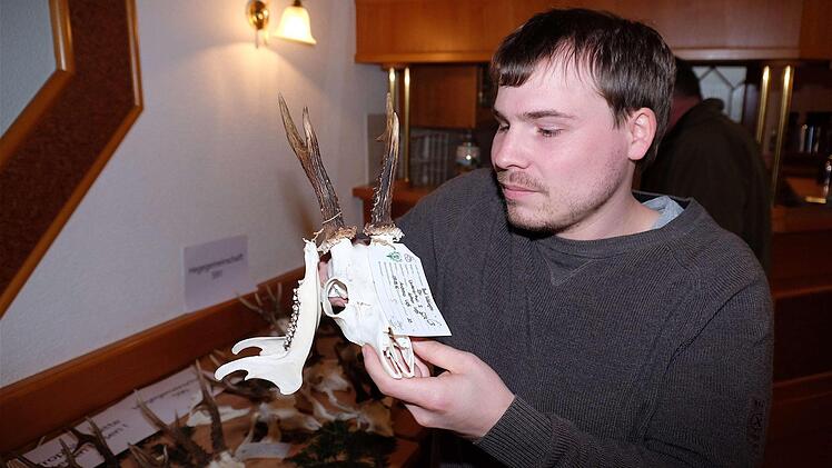 Einen Sechsender-Goldbock hatte Andreas Keß aus Untererthal geschossen.  Foto: Gerd Schaar