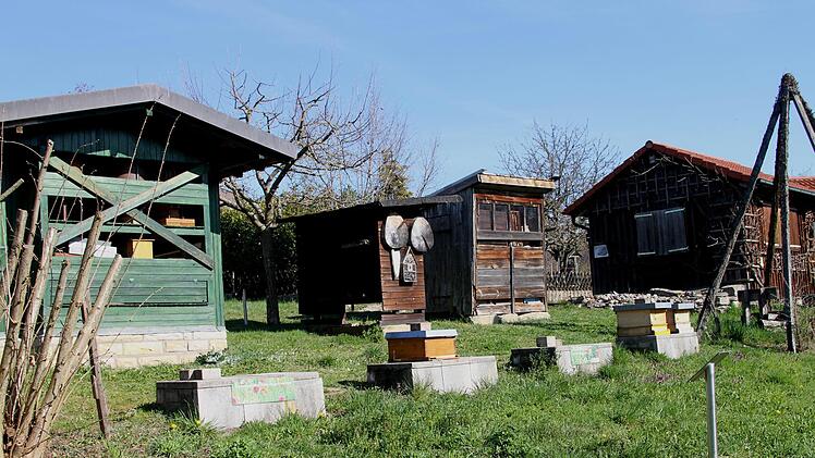 Auch der Lehrbienenstand ist mit einbezogen. Fotos: Günther Geiling