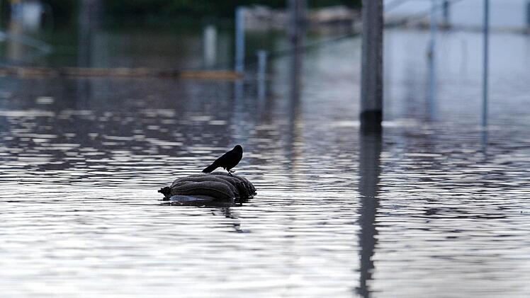 Foto: Tobias Hase/dpa
