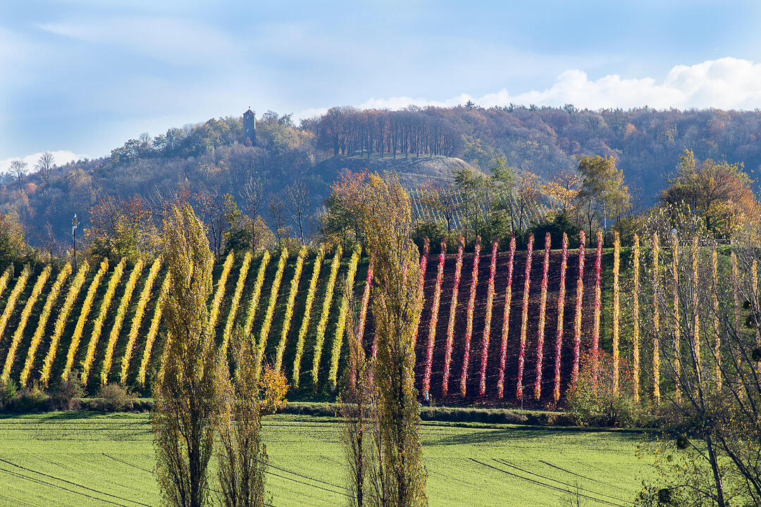 Fotos Konrad Thomann