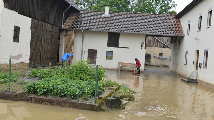 Wiesengiech. Foto:Ronald Rinklef