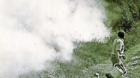 Der Waldbrand 1976 wurde auch mit Gießkannen ... Foto: Archiv
