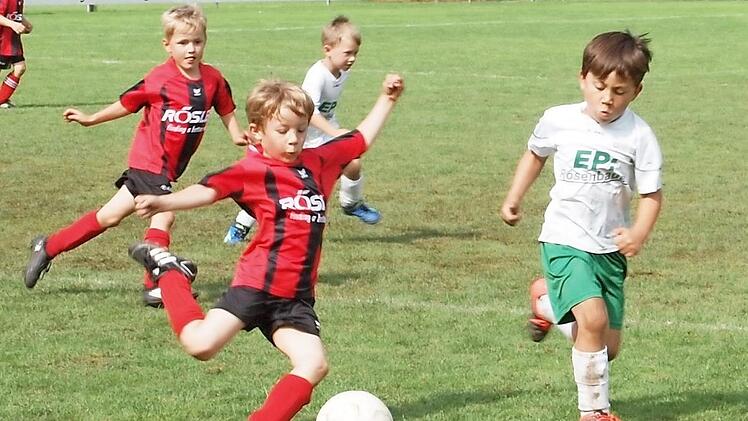 Eine Szene aus dem Spiel der G-Junioren des FC Lichtenfels gegen den FC Michelau, das Lichtenfels verdient mit 1:0 gewann. Foto: Alfred Thieret