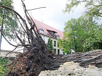 Bäume wurden entwurzelt oder wie Streichhölzer umgeknickt.   Foto: Josef Hofbauer