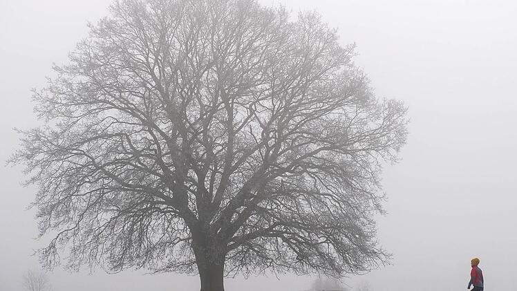 Das Wetter bleibt auch am Wochenende in Franken sehr tr&uuml;b. Foto: Ingo Wagner/dpa