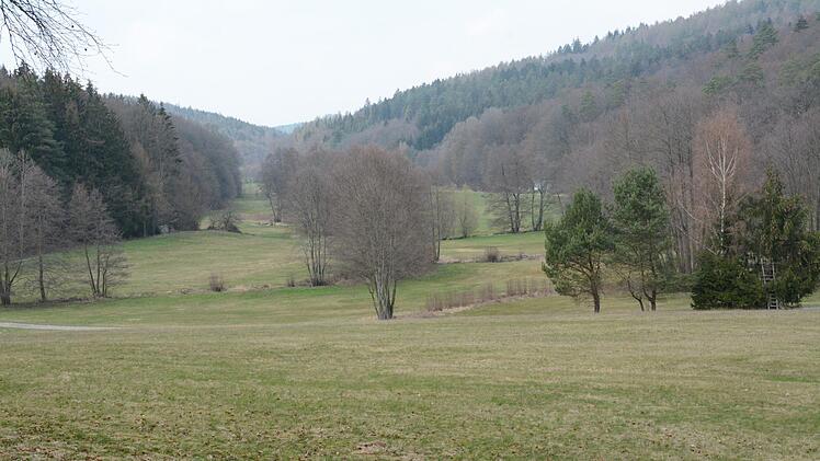 Blick ins Oehrbachtal. Foto: Elisabeth Assmann