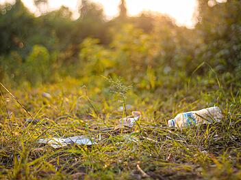 Müll in Wilhelminenaue: Bayreuth reagiert mit Mülleimern und Security Müll in Wilhelminenaue: Bayreuth reagiert mit Mülleimern und Security
