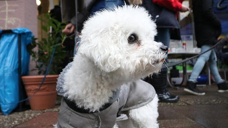 Fotos: Andreas Hofbauer