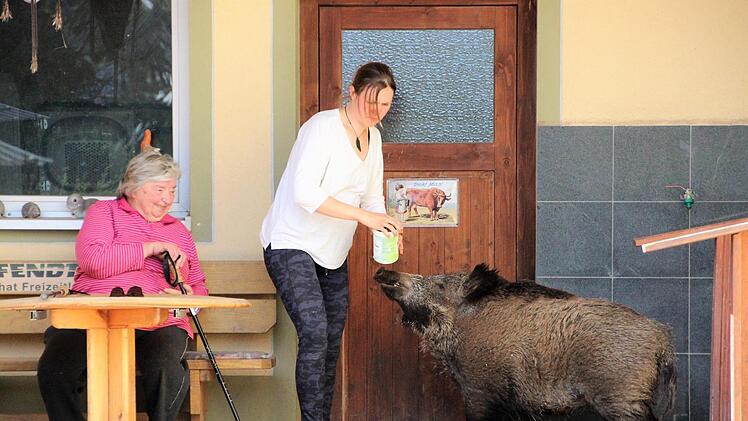 Rosalie ist zur Stelle, sobald Selina mit Leckerchen das Haus verlässt.
