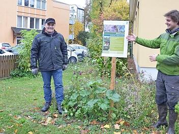 Hausmeister Faruk Varol (links) und Wildlebensraumberater Karl Gommel laden ein, sich den Garten des Amtes für Ernährung, Landwirtschaft und Forsten in Coburg anzusehen. Direkt vom Gehsteig an der Goethestraße aus geht es während der Öffnungszeiten auf angelegten Wegen hinein.