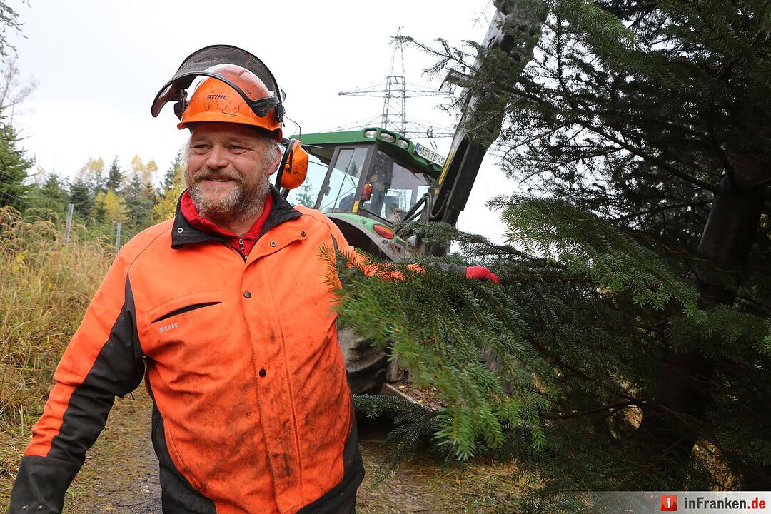 Christbaum für die Queen: Jetzt kann die Reise beginnen