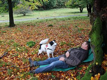 Timmy &uuml;bt auf Ger&ouml;der Terrain das Auffinden und Anzeigen eines vermissten Menschen. Er ist ein sogenannter Verbeller. Foto: Markus Behringer