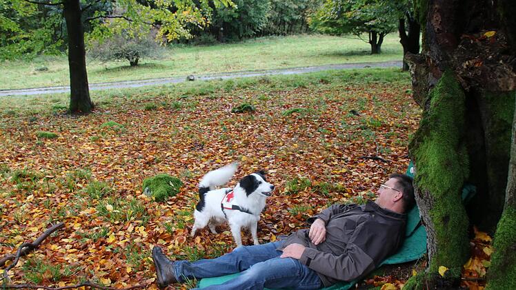 Timmy &uuml;bt auf Ger&ouml;der Terrain das Auffinden und Anzeigen eines vermissten Menschen. Er ist ein sogenannter Verbeller. Foto: Markus Behringer