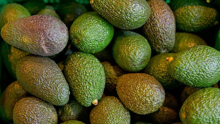 Avocados