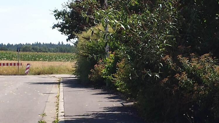 Hier bleibt kein Platz mehr auf dem Gehsteig.