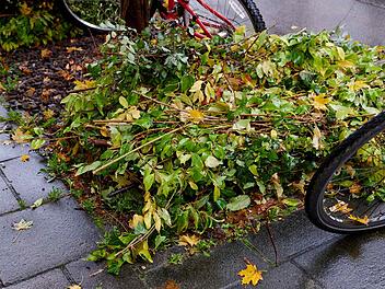 Richtig geb&uuml;ndeltes, mit einer Jute-Schnur zusammengebundenes Gr&uuml;ngut