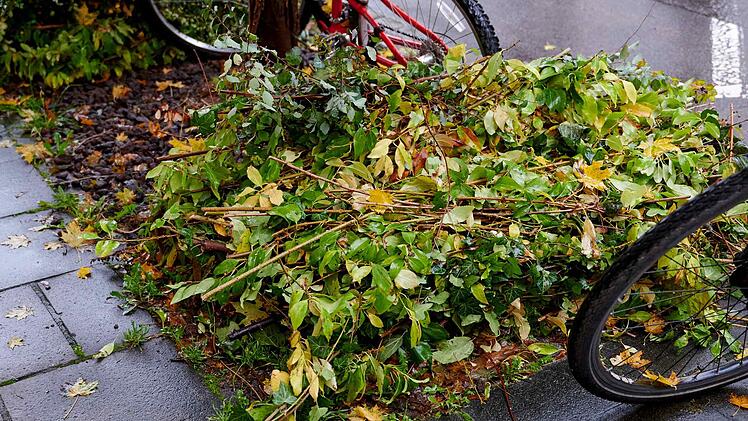 Richtig geb&uuml;ndeltes, mit einer Jute-Schnur zusammengebundenes Gr&uuml;ngut
