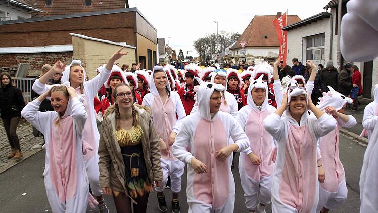 Impressionen vom Faschingsumzug der Weisendorfer Blummazupfer. Foto: Richard Sänger