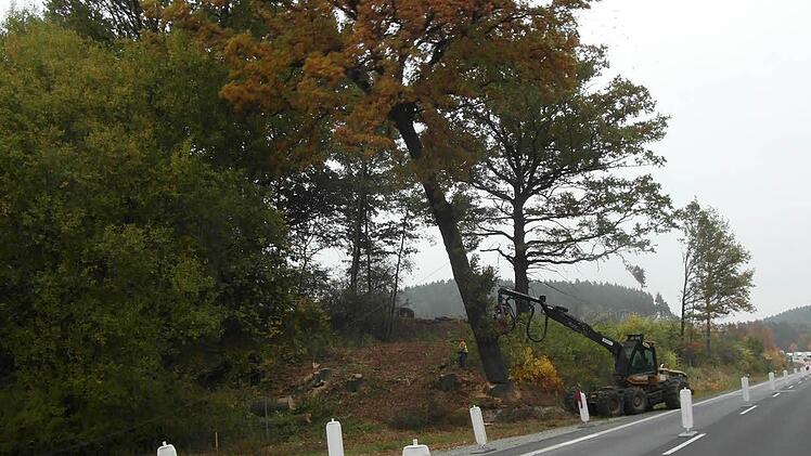 Der Verkehr wurde  wegen der Baumfällung mit Unterstützung von Polizei und Autobahnmeisterei für  zehn  Minuten angehalten.Der Baum hängt bereits an der Seilwinde und wird gleichzeitig vom Greifarm des Harvesters gesichert. Foto: Autobahndirektion