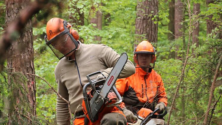 Mario Lippmann und Jan Pfadenhauer (von links) bei ihrer schweren Waldarbeit Helmut Will