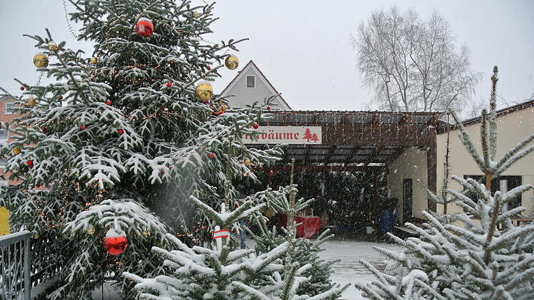 Christbaumdorf in Unterfranken - Adventsausflug nach Mittelsinn