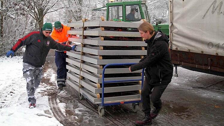 Alle helfen beim Aufbau mit. Foto: Frank Haug