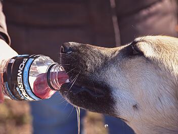 Wetter in Franken: Meteorologe k&uuml;ndigt n&auml;chstes "kurzes Hitze-Intermezzo" an