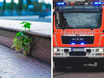 Steinwiesen: Anwohner löst Feuerwehreinsatz aus