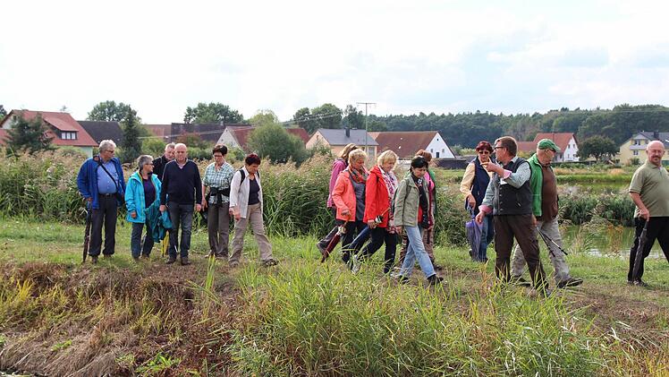 Im Weihergebiet des Aischgrunds. Foto: Andreas Dorsch
