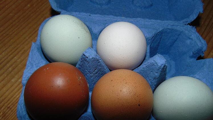 Foto: Petra Malbrich