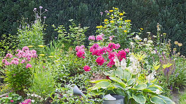 Nachhaltiges Staudenbeet