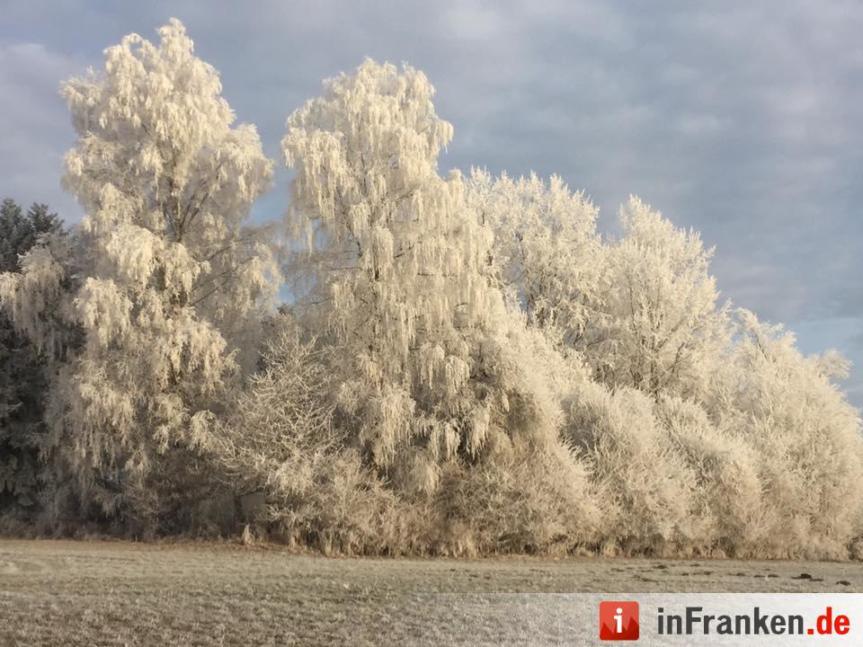 Eis und Schnee in Franken - die schönsten Winterleserfotos