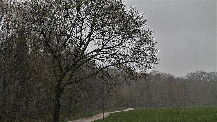 Novemberwetter in Franken: "Bis in tiefe Lagen Schneeschauer" - Experten beobachten Orkantief