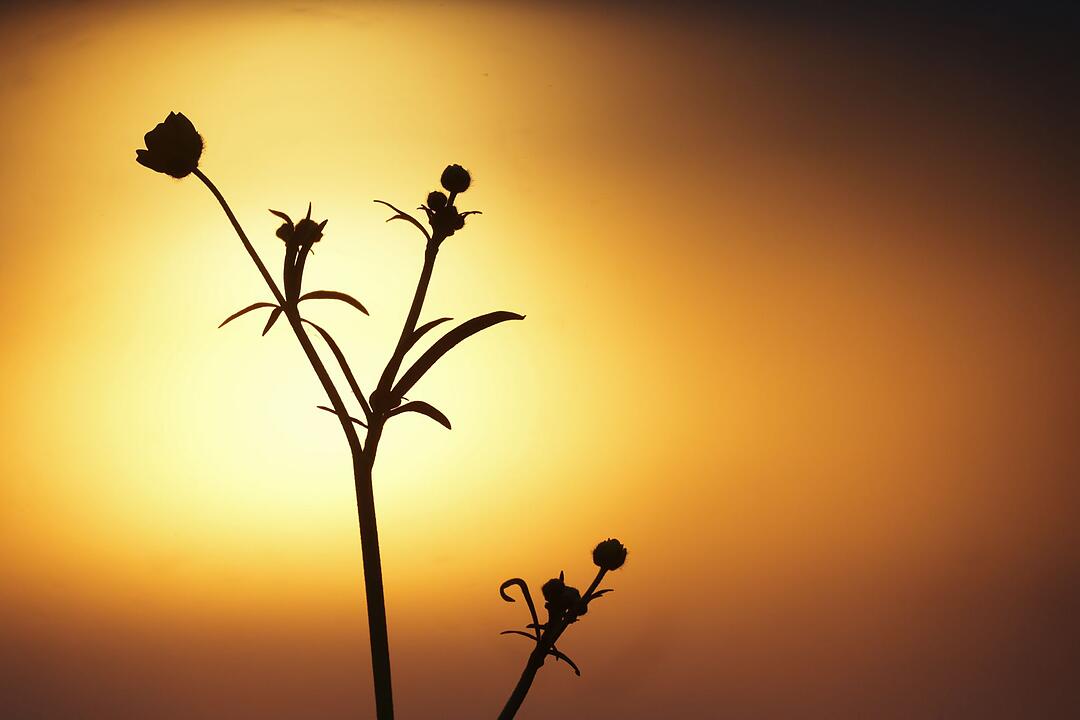 Wetter in Baden-W&uuml;rttemberg