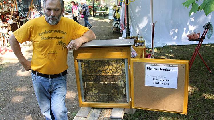 Er bot Einblick in einen Bienenstock